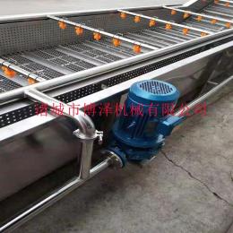全自動土豆去皮氣泡清洗機，馬鈴薯等果蔬氣泡清洗機設備