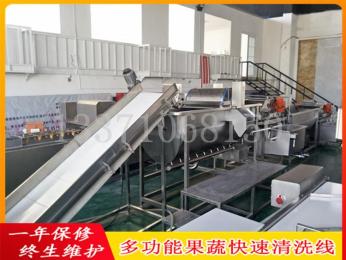 果蔬清洗線-快速清洗機
