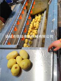 JIAPIN1500大型土豆去皮清洗機