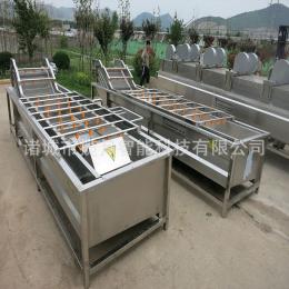 小油菜清洗機 菠菜白菜蘿卜氣泡清洗機 蔬菜清洗設備