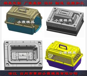 飛機空運折疊貓籠注塑模具加工定制