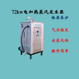 電加熱蒸汽發生器全自動釀酒蒸汽釀酒干洗店商用工業蒸汽鍋爐