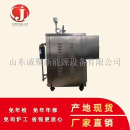 小型高效大功率電加熱蒸汽發生器正規