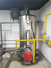 半噸立式燃氣蒸汽鍋爐LHS0.5-0.7-YQ大康鍋爐