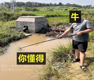 锂电池一体杆批发 优质锂电一体杆厂家维修